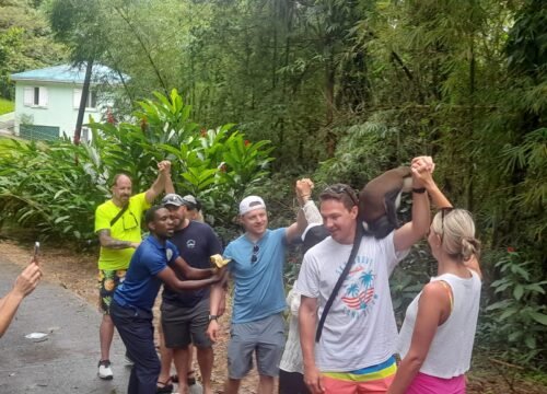 Grenada Private Tours: Discover the Spice Isle with See Grenada Tours