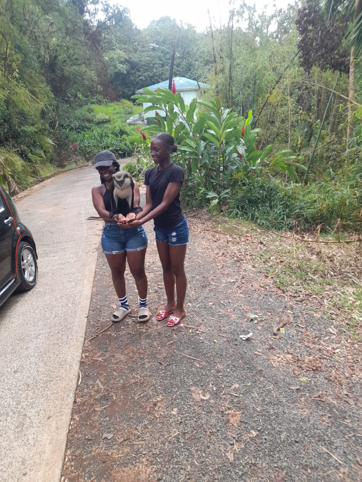 Maurice Bishop International Airport Taxi