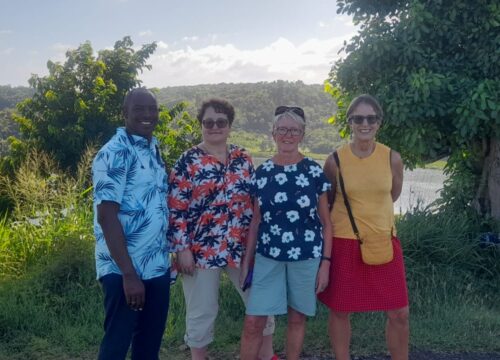 Grenada Cruise Port Taxi Services – See Grenada Tours