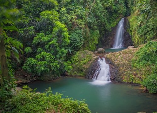 Grenada Cruise Port Taxi with See Grenada Tours